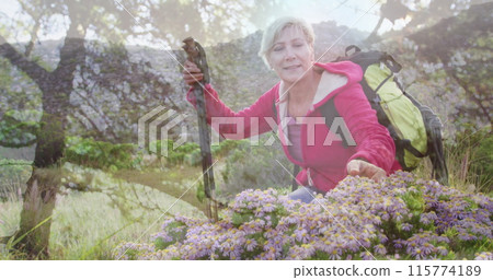 Smiling caucasian senior woman hiking, kneeling and touching plants, over trees and sunlight Smiling caucasian senior woman hiking, kneeling and touching plants, over trees and sunlight 115774189