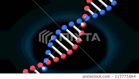 Image of dna strand spinning on blue background Image of dna strand spinning on blue background 115775864