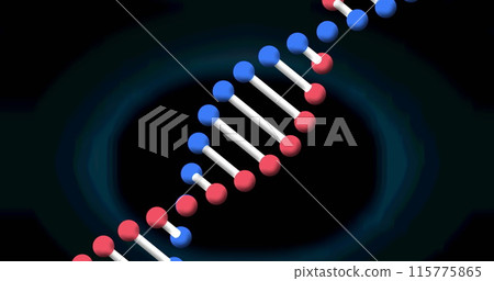 Image of dna strand spinning on blue background 115775865
