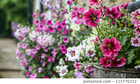 Details and products on shelves in the English counryside farm shop, small business, country style design 115776332