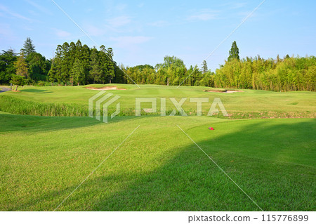 無人，崎嶇的高爾夫球場，初夏的景色 115776899