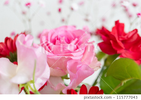 暖色組合花 115777043