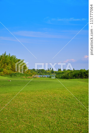 可以看到荒川流淌的初夏景色的高爾夫球場。 115777064