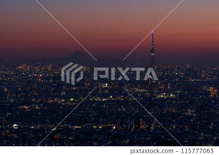 Tokyo night view: Looking towards Tokyo from Chiba prefecture Tokyo night view: Looking towards Tokyo from Chiba prefecture 115777065