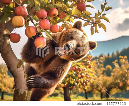 Crop damage caused by bears Crop damage caused by bears 115777213