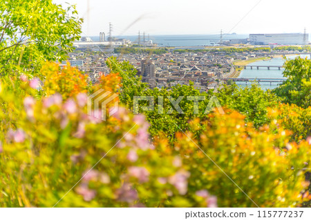 與播磨平原相連的大黍山頂（兵庫縣姬路市鹿摩區妻鹿） *照片位置見作品評論區 115777237