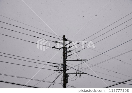 Electric poles and wires in the snow 115777308