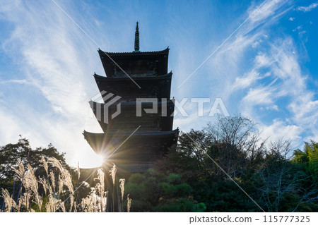 Bicaku Kokubunji Five-storied pag 115777325