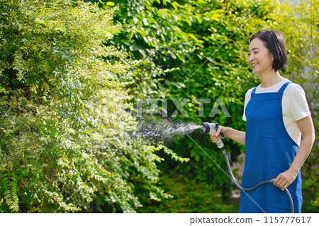 微笑的中年婦女在花園裡的綠樹澆水 115777617