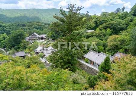 A view of the fresh greenery from the stage of Hasedera Temple in Sakurai City, Nara Prefecture 115777633
