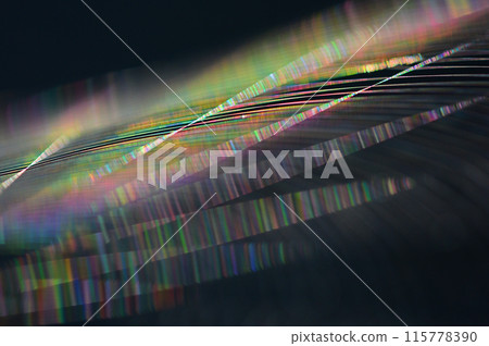 Spider web shining in rainbow colors in the morning sun, close-up Spider web shining in rainbow colors in the morning sun, close-up 115778390
