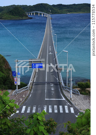 Tsunoshima Bridge 1010 115778534