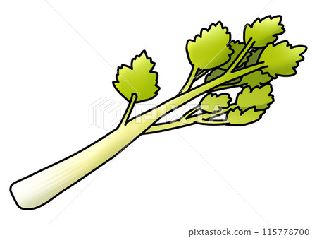 芹菜圖解(附主線) 芹菜圖解(附主線) 115778700