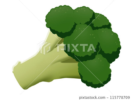 西蘭花插畫(無主線) 西蘭花插畫(無主線) 115778709