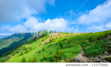 Utsukushigahara trekking: Alps observation course 115778902