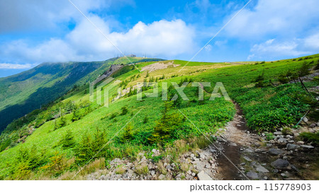 Utsukushigahara trekking: Alps observation course 115778903