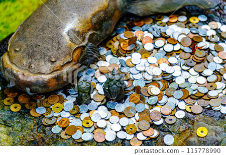 京都東福寺淺林寺的睡鯰魚 115778990
