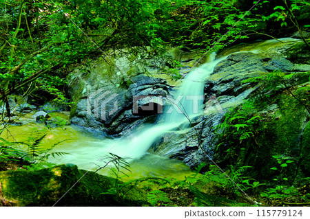 Toyota City Sanage Seven Waterfalls Blood-Washing Waterfall 115779124