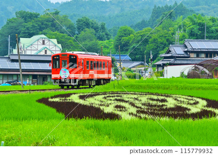 明智鐵路的紅色列車穿越山岡町的稻田 明智鐵路的紅色列車穿越山岡町的稻田 115779932