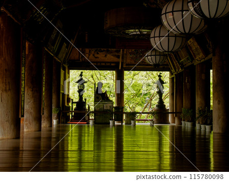 Fresh green of Hasederaji 115780098