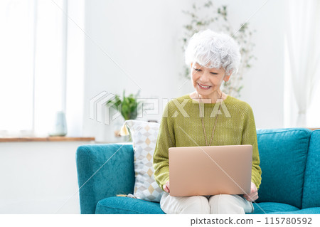 在客廳使用電腦的高級女性 在客廳使用電腦的高級女性 115780592