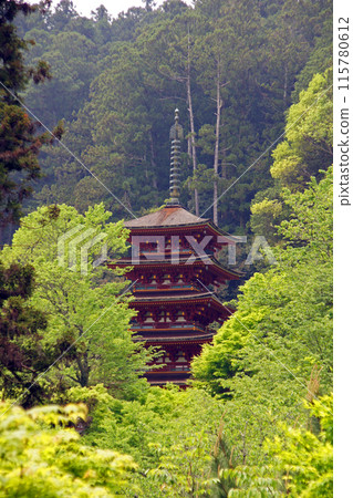 Five-story pagoda of Hasederaji 115780612