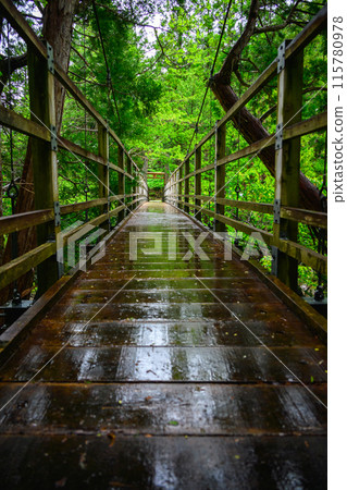 [赤澤]姬宮橋被雨淋濕[木曾地區上松町] 115780978