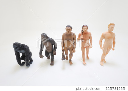 a Human evolution ape, caveman, modern man, future man a Human evolution ape, caveman, modern man, future man 115781235