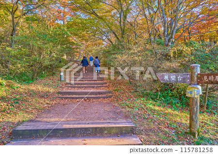 Stairs leading to Tokimeki Deck (observation deck) from Uenoyama Park in Ikaho Town, Shibukawa City, Gunma Prefecture in autumn Stairs leading to Tokimeki Deck (observation deck) from Uenoyama Park in Ikaho Town, Shibukawa City, Gunma Prefecture in autumn 115781258