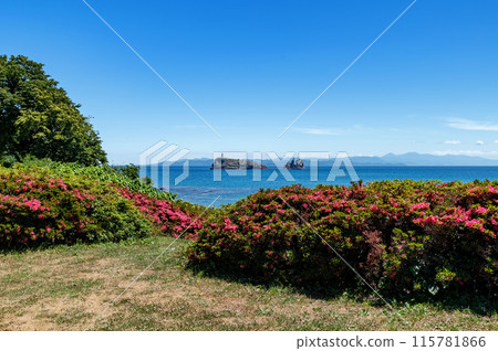 [Wakinosawa Taijima, Shimokita Peninsula, Aomori Prefecture] The uninhabited island that resembles a sea bream in the Shimokita Geopark is called Taijima. 115781866