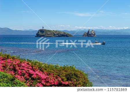 【青森縣下北半島脅沢台島】下北地質公園內的一個形似鯛魚的無人島，被稱為台島。 115781869