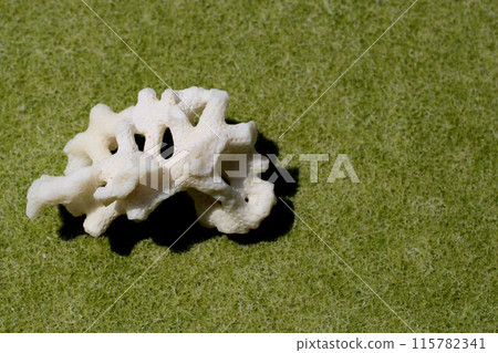 沖繩珊瑚的回憶 沖繩珊瑚的回憶 115782341