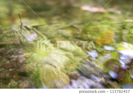 Fresh greenery reflected in the forest stream: Kitanizawa mountain stream Fresh greenery reflected in the forest stream: Kitanizawa mountain stream 115782457