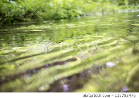 木澤溪流映照在森林溪流中的新綠 木澤溪流映照在森林溪流中的新綠 115782476