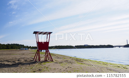 神奈川縣橫濱市海洋公園的初夏(人工海灘) 神奈川縣橫濱市海洋公園的初夏(人工海灘) 115782555