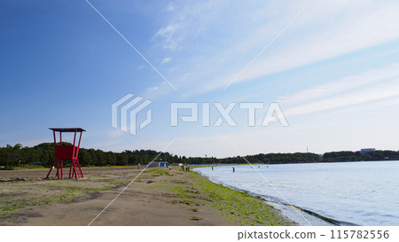 神奈川縣橫濱市海洋公園的初夏(人工海灘) 神奈川縣橫濱市海洋公園的初夏(人工海灘) 115782556