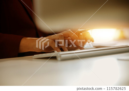 Business analyst checking in financial statement for audit internal control system. Accounting and Financial Concept. Business analyst checking in financial statement for audit internal control system. Accounting and Financial Concept. 115782625