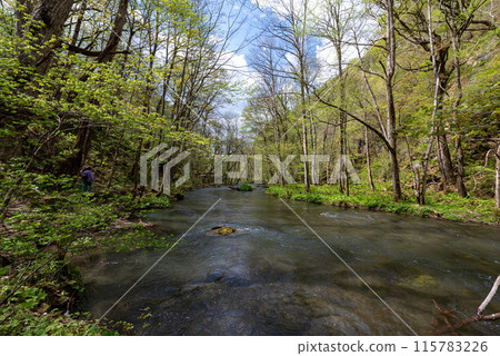 Oirase Stream（青森縣十和田市） 115783226