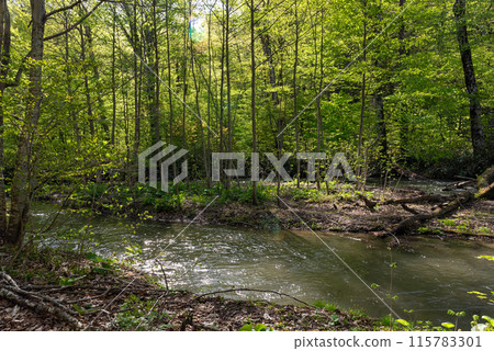 Oirase Stream（青森縣十和田市） 115783301