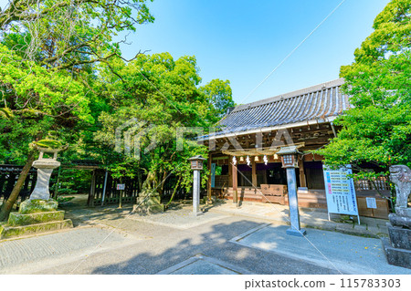 Hiyoshi Shrine in early summer, Yanagawa City, Fukuoka Prefecture 115783303