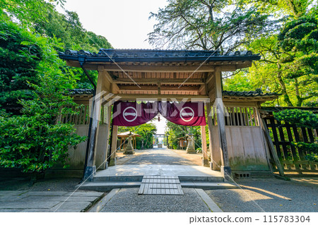 初夏的日吉神社,福岡縣柳川市 初夏的日吉神社,福岡縣柳川市 115783304