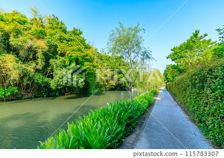 初夏的柳川風景 福岡縣柳川市 115783307