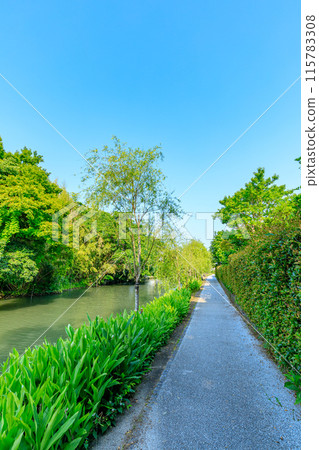 Scenery of Yanagawa in early summer, Yanagawa City, Fukuoka Prefecture Scenery of Yanagawa in early summer, Yanagawa City, Fukuoka Prefecture 115783308