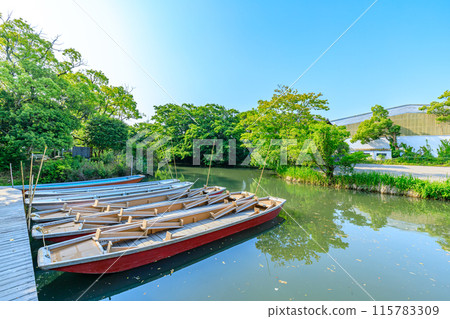 Scenery of Yanagawa in early summer, Yanagawa City, Fukuoka Prefecture 115783309