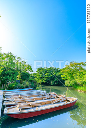 Scenery of Yanagawa in early summer, Yanagawa City, Fukuoka Prefecture 115783310