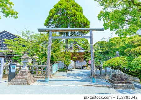 初夏的福岡縣柳川市三柱神社 115783342