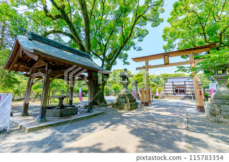 初夏的福岡縣柳川市三柱神社 初夏的福岡縣柳川市三柱神社 115783354