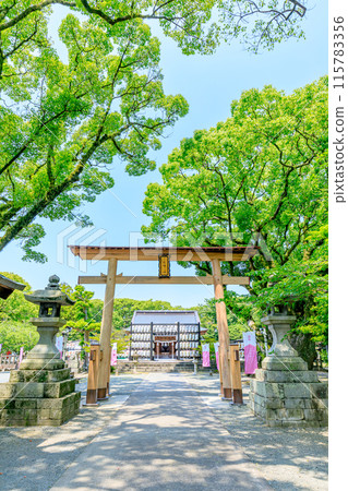 Mitsuhashira Shrine in early summer, Yanagawa City, Fukuoka Prefecture Mitsuhashira Shrine in early summer, Yanagawa City, Fukuoka Prefecture 115783356