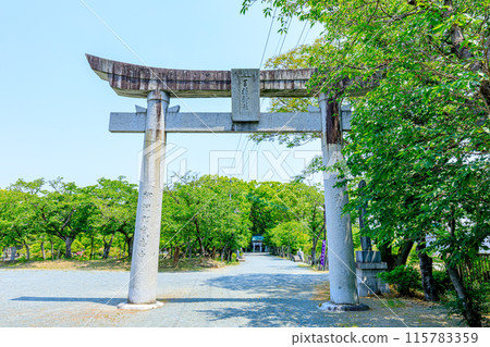Mitsuhashira Shrine in early summer, Yanagawa City, Fukuoka Prefecture Mitsuhashira Shrine in early summer, Yanagawa City, Fukuoka Prefecture 115783359