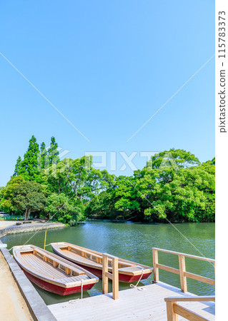 Scenery of Yanagawa in early summer, Yanagawa City, Fukuoka Prefecture 115783373